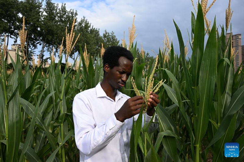 Simulizi ya Picha: Mwanafunzi wa Rwanda Ajikita Kwenye Utafiti wa Mahindi Nchini China