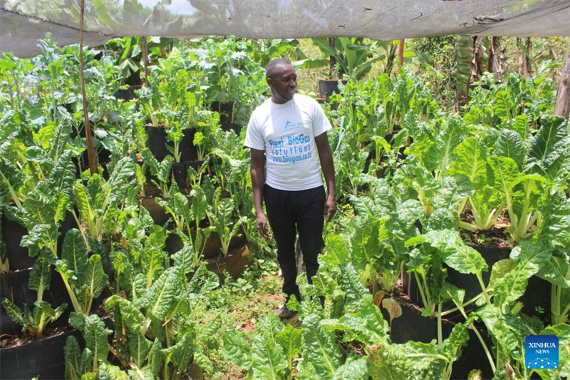 Kutoka takataka hadi utajiri: Soko la kijani la Kenya laongoza kwa udhibiti wa taka